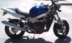 The new horse in the stable